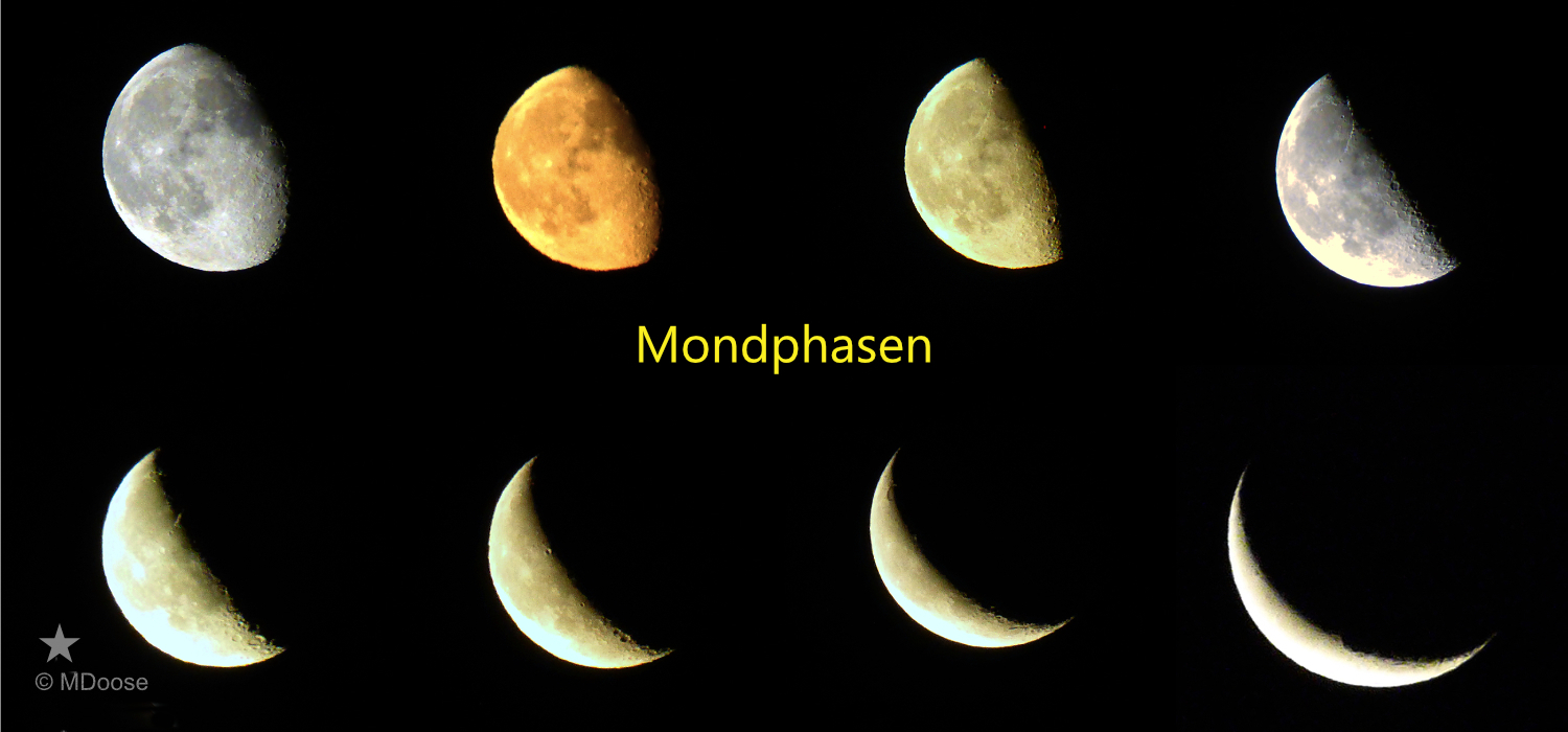 mondphasenhalb