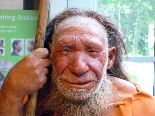 kategorie neanderthal